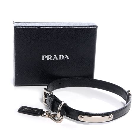 prada collare|prada dog collar and leash.